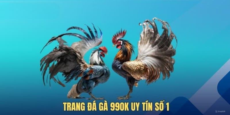 Các hình thức đá gà phổ biến tại 99Ok