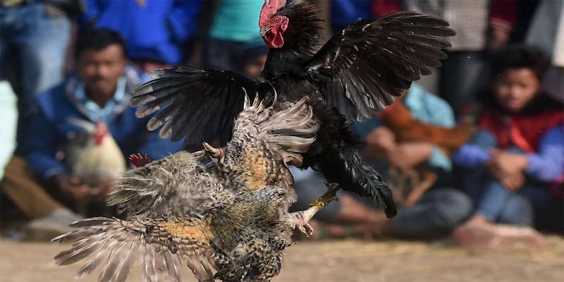 Kỹ năng cần thiết khi chơi