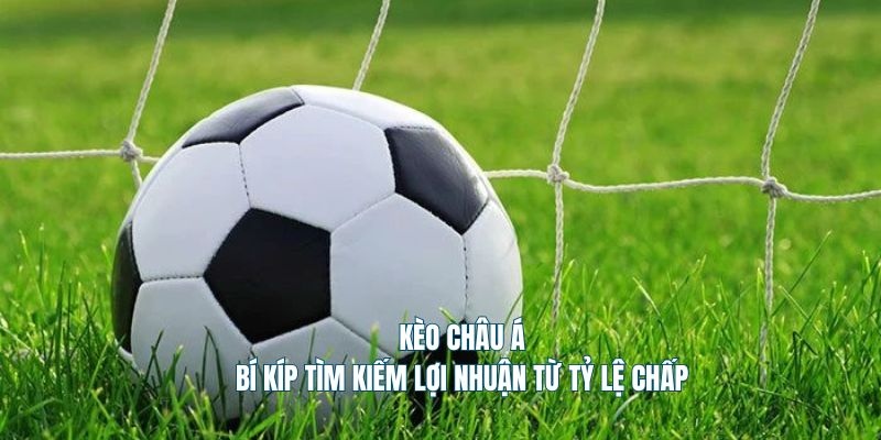 Mẹo đánh kèo châu Á bất bại từ cao thủ