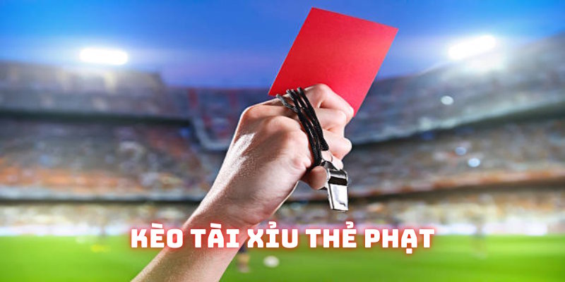 Phiên bản cá độ tài xỉu thẻ phạt hấp dẫn