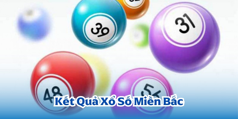 Theo dõi kết quả xổ số miền Bắc tại 99Ok chỉ trong vài phút